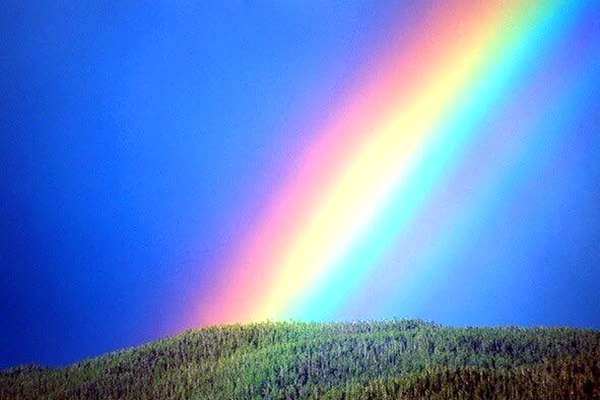 A rainbow lands in a green field.