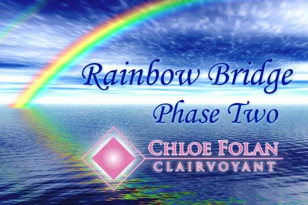 Rainbow Bridge Phase Two Group Online Workshop! 